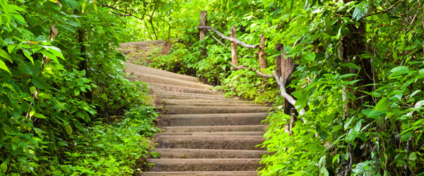 escalier